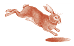Rabbit Hole Illustration