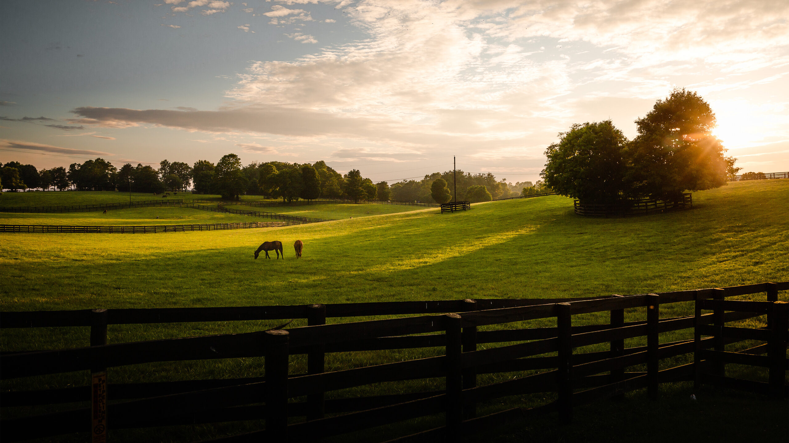 A scenic farm at sunset in the Lexington Region of the Kentucky Bourbon Trail®